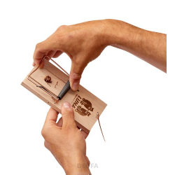 Klasyczna pułapka na szczury